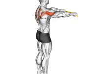 28圈娱乐-关于全明星赛冲刺阶段走向成谜，罗马门线救险，引发热议，训练强度明显提升的信息